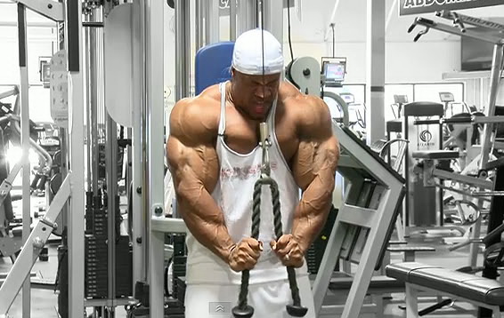 Phil Heath Foto 08 Фил хит параметры тела